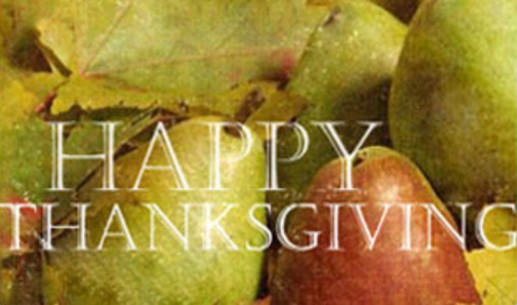 The Top 5 Things I'm Thankful for in my first year as an RVer 1