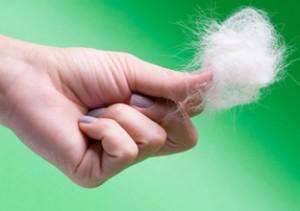 pet-hair-loss