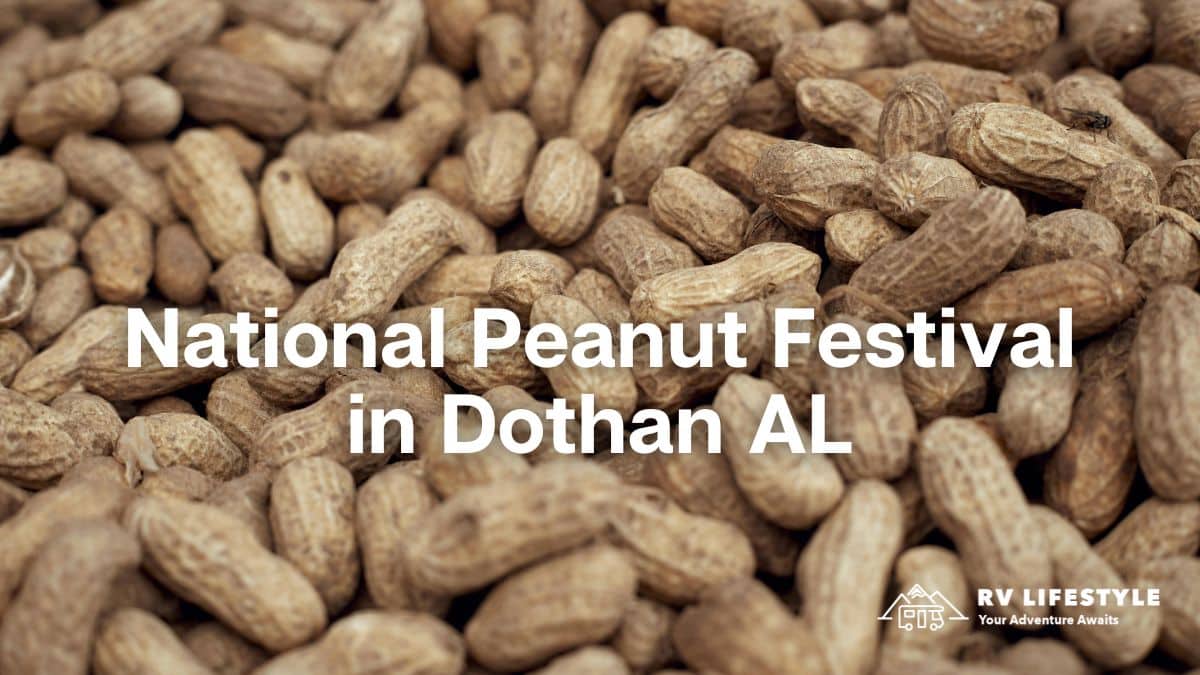 national peanut festival