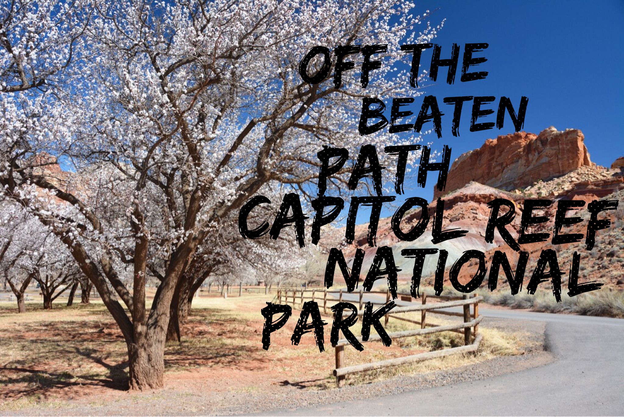 OTBP: Capitol Reef National Park