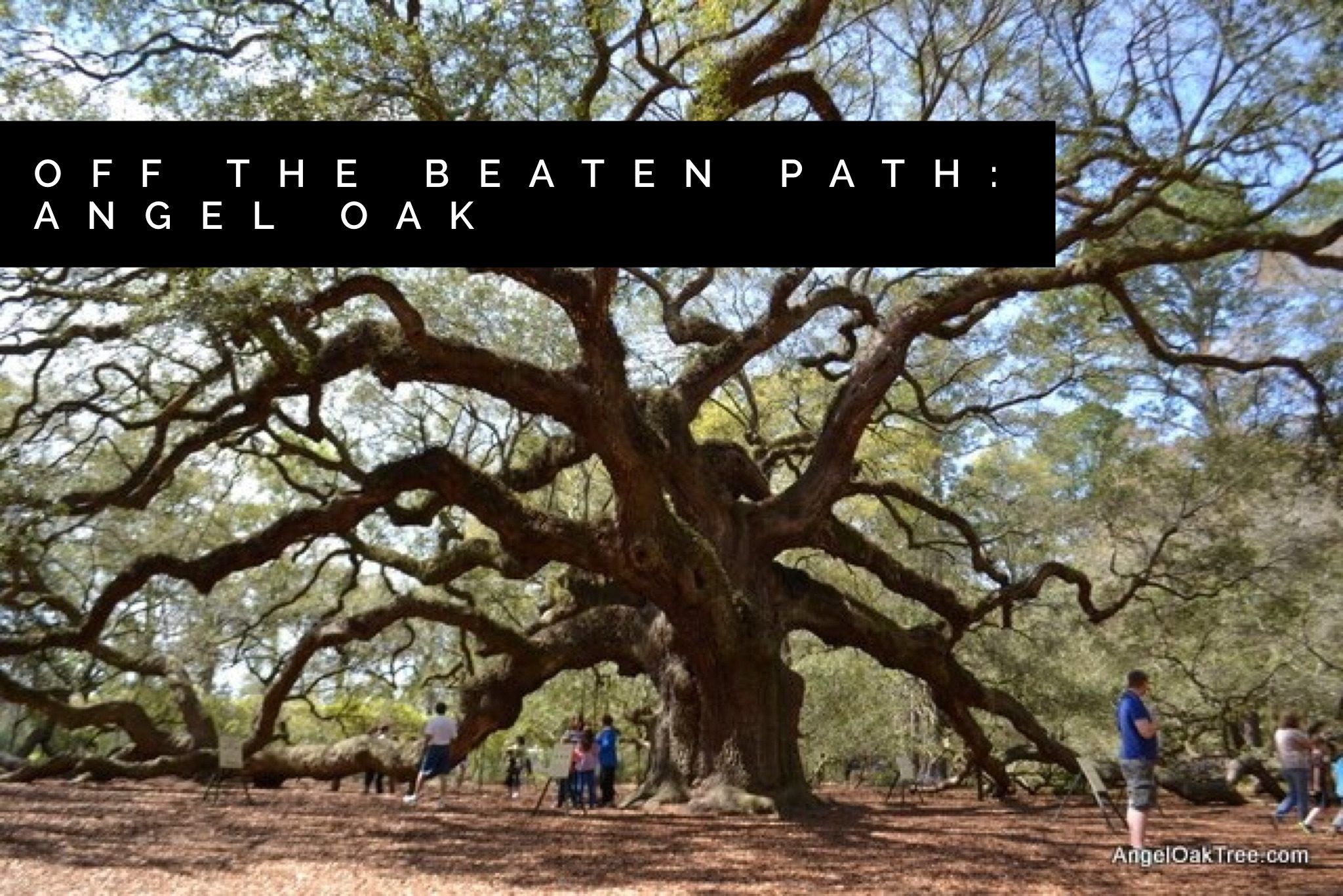 OTBP: Angel Oak