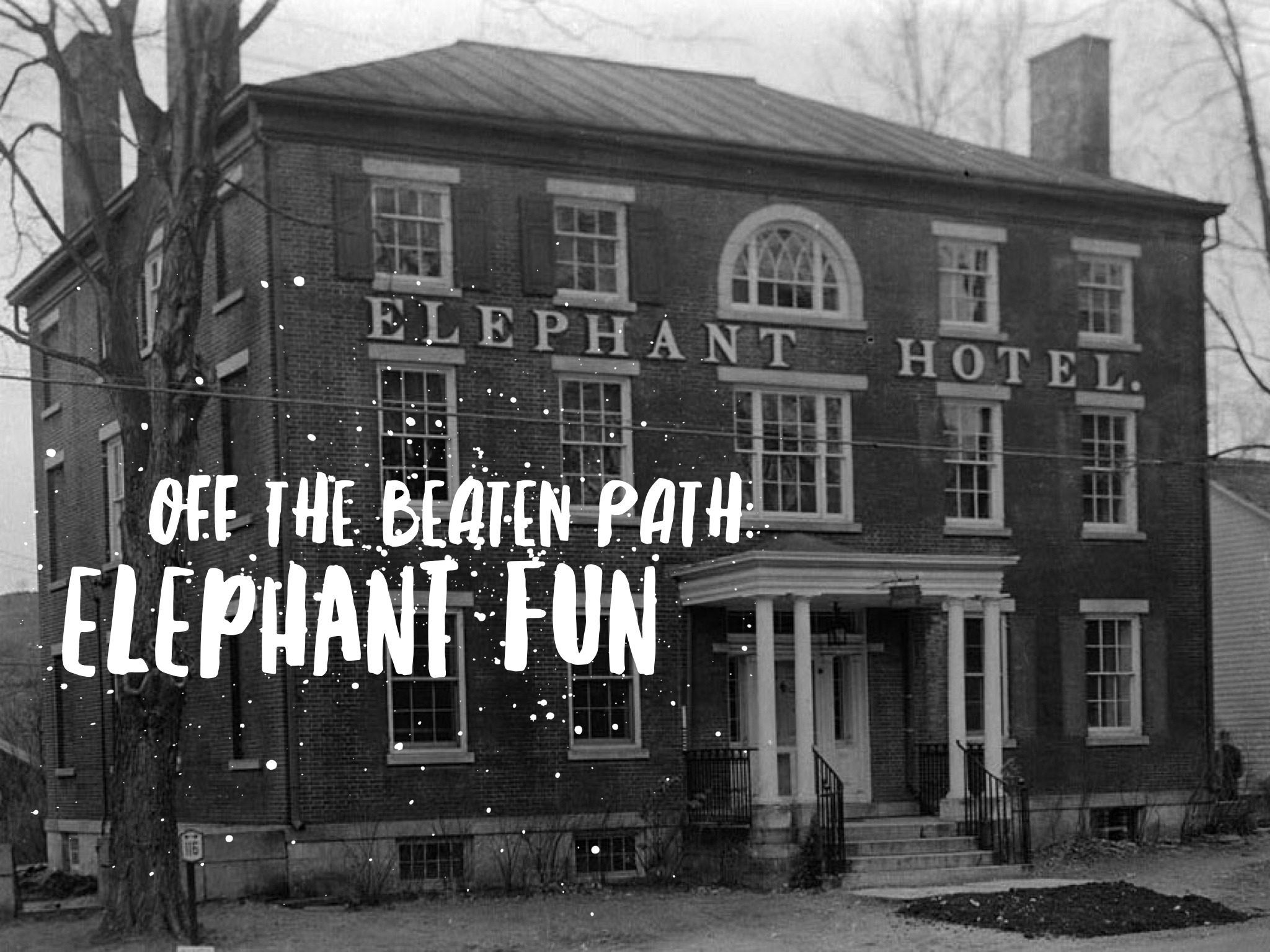 Off The Beaten Path: East Coast Elephant Fun 1