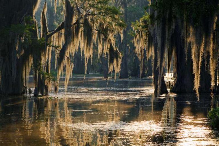Off the Beaten Path: Lousiana’s Bayou Country
