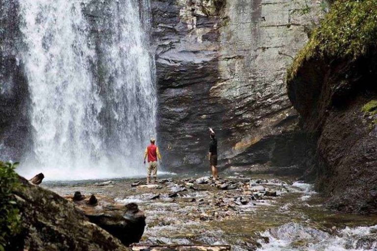 Off the Beaten Path: the Forest Heritage National Byway