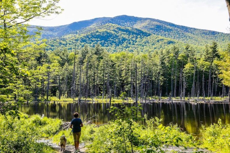 We’re now in the Adirondacks!