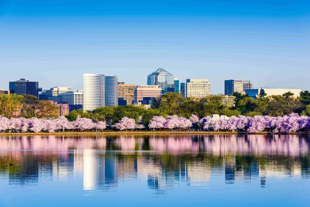 10 Best U.S. Destinations for Allergy Sufferers 3