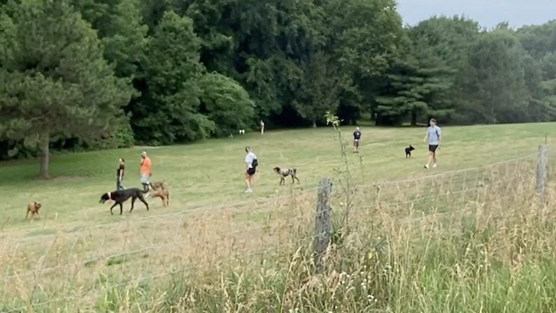 photo of orion oaks dog park one of best dog parks in US