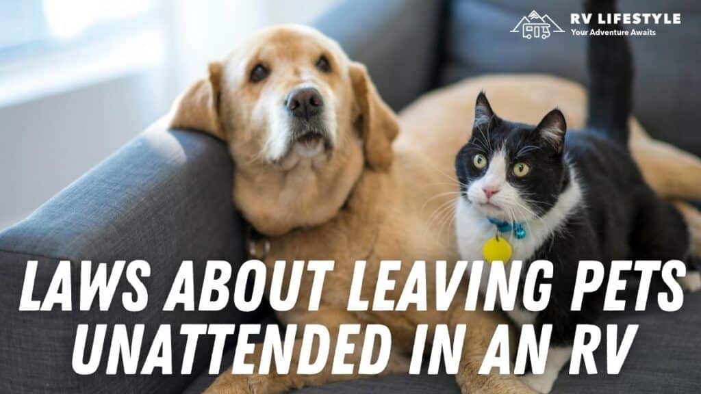 RVing with Dogs ULTIMATE Resource Guide 3