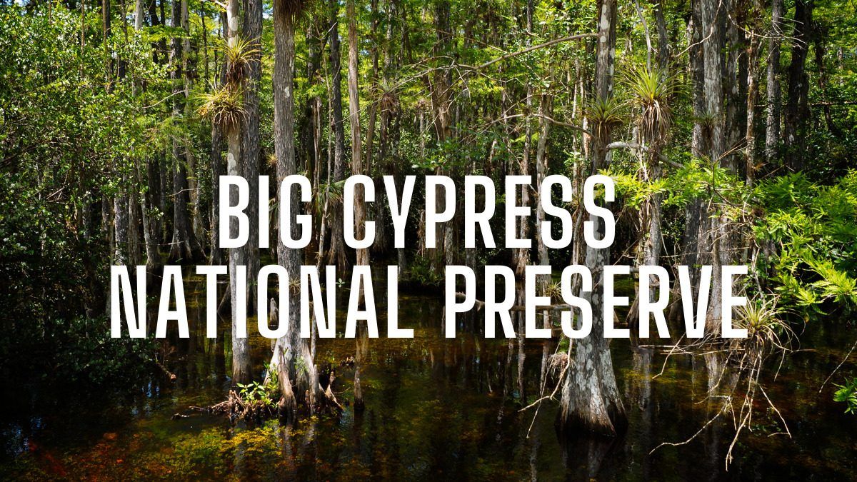 Big Cypress National Preserve
