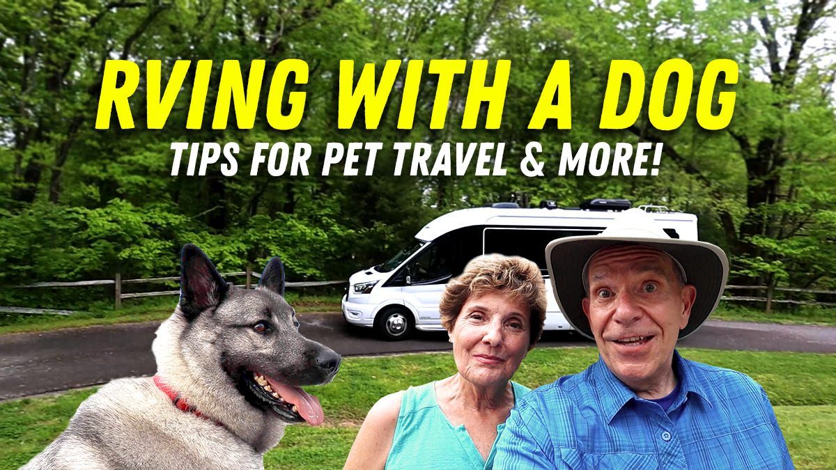 RV travel with a dog