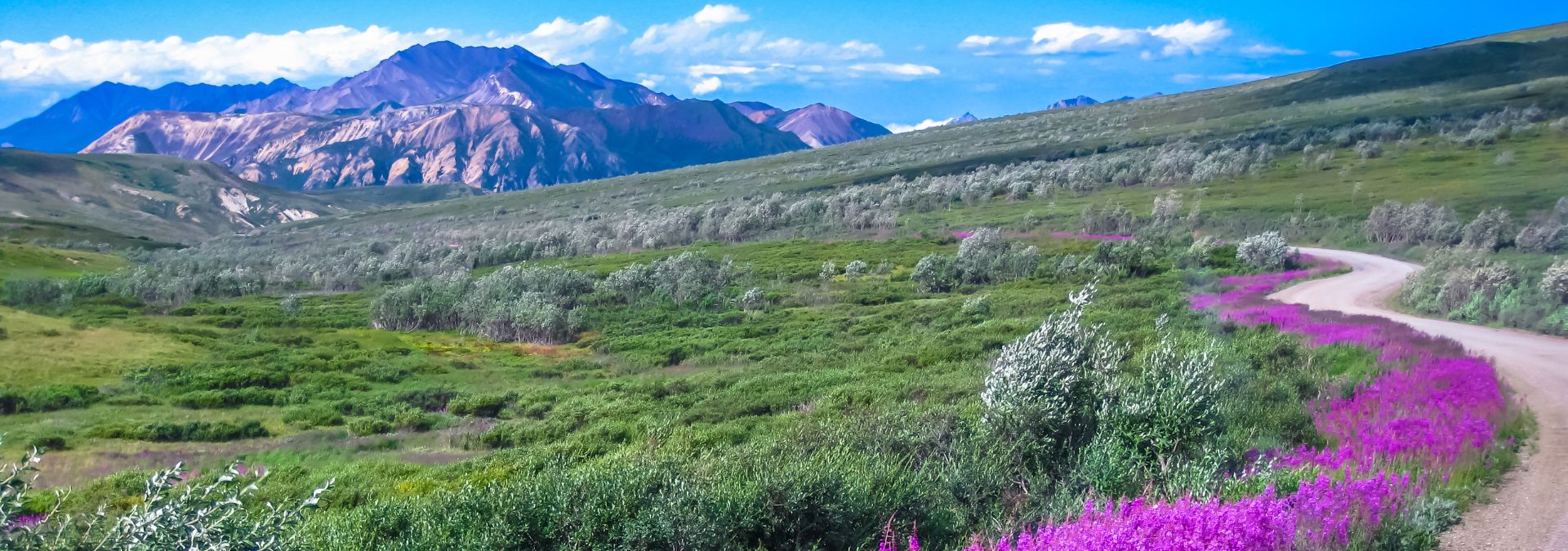 7 Helpful Alaska Travel Tips for RVers