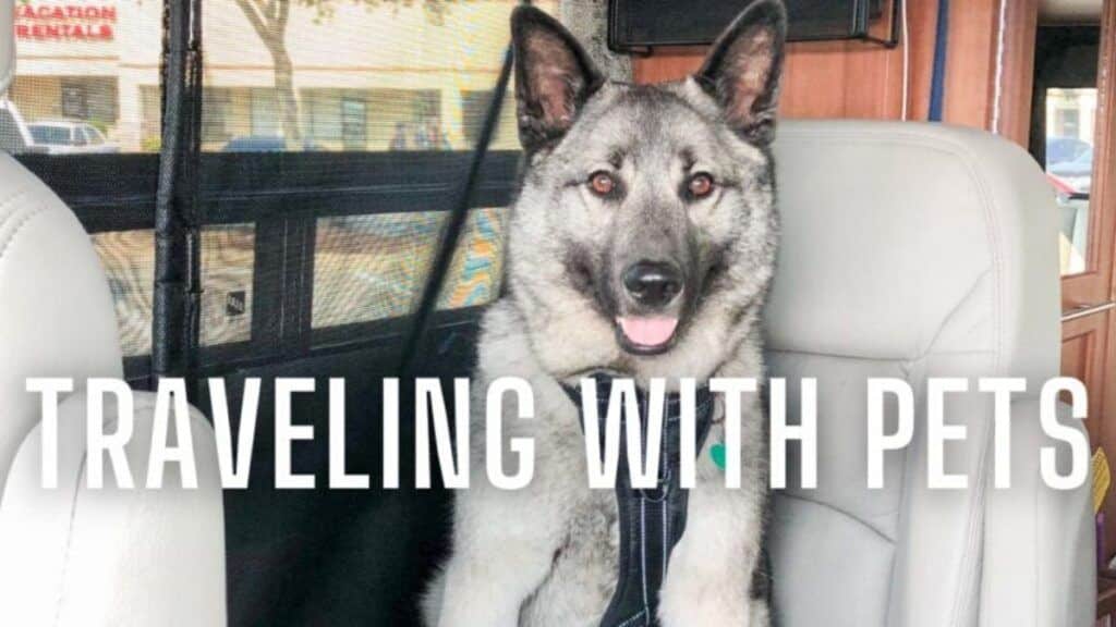 Medical Needs While RVing - 8 Handy Tips 5