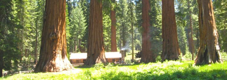 Yosemite Landmarks: 16 Best Sights & Must-See Attractions