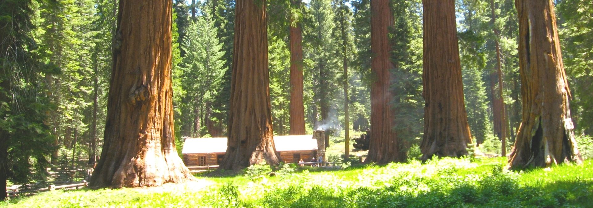 Yosemite Landmarks: 16 Best Sights & Must-See Attractions 1