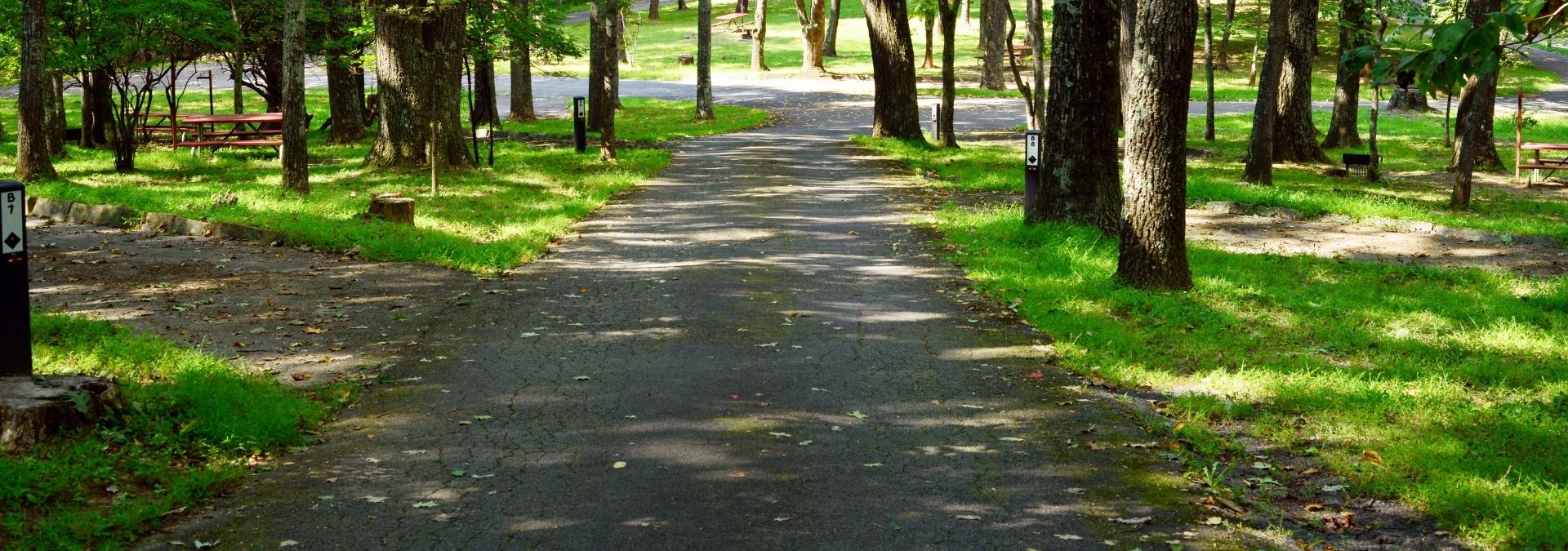 No-Show Campers: 8 Reasons Why They Don't Cancel