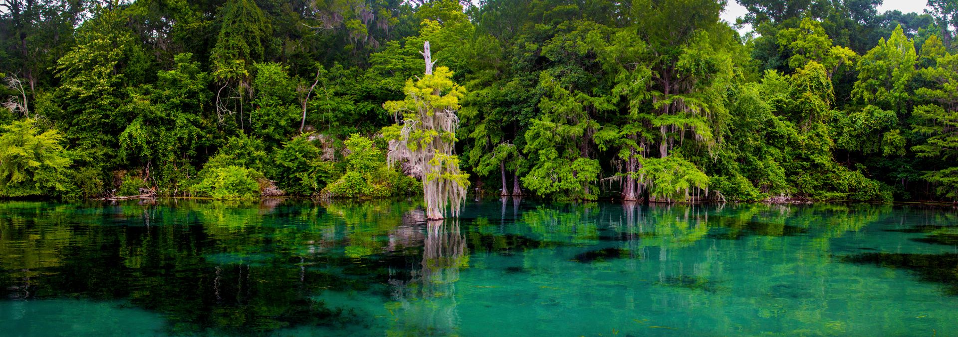 Florida Parks with Vacancy for Snowbirds THIS WINTER! 1