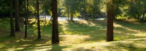 15 Alabama RV Parks for Snowbirds (Florida Alternatives)