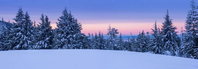 Best Winter RV Camping (& Join Our Annual Winter Campout!)