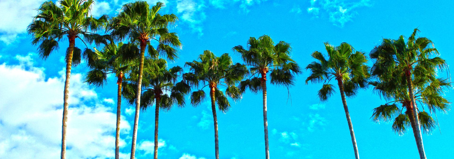ATTENTION Snowbirds: Thousands of New RV Sites in Florida! 1