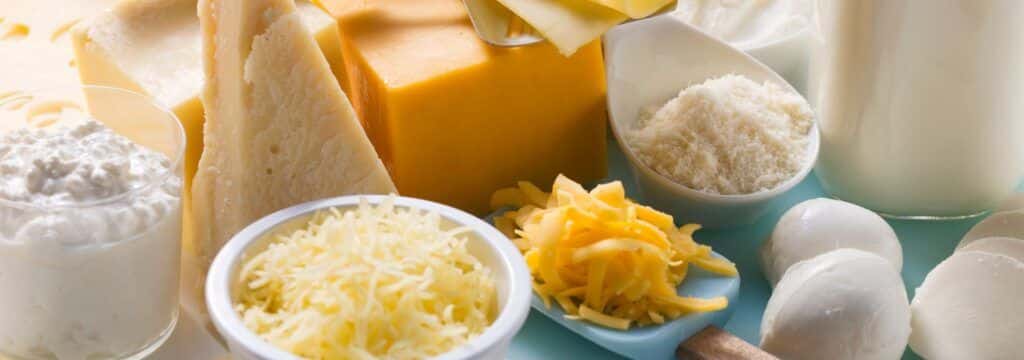 dairy