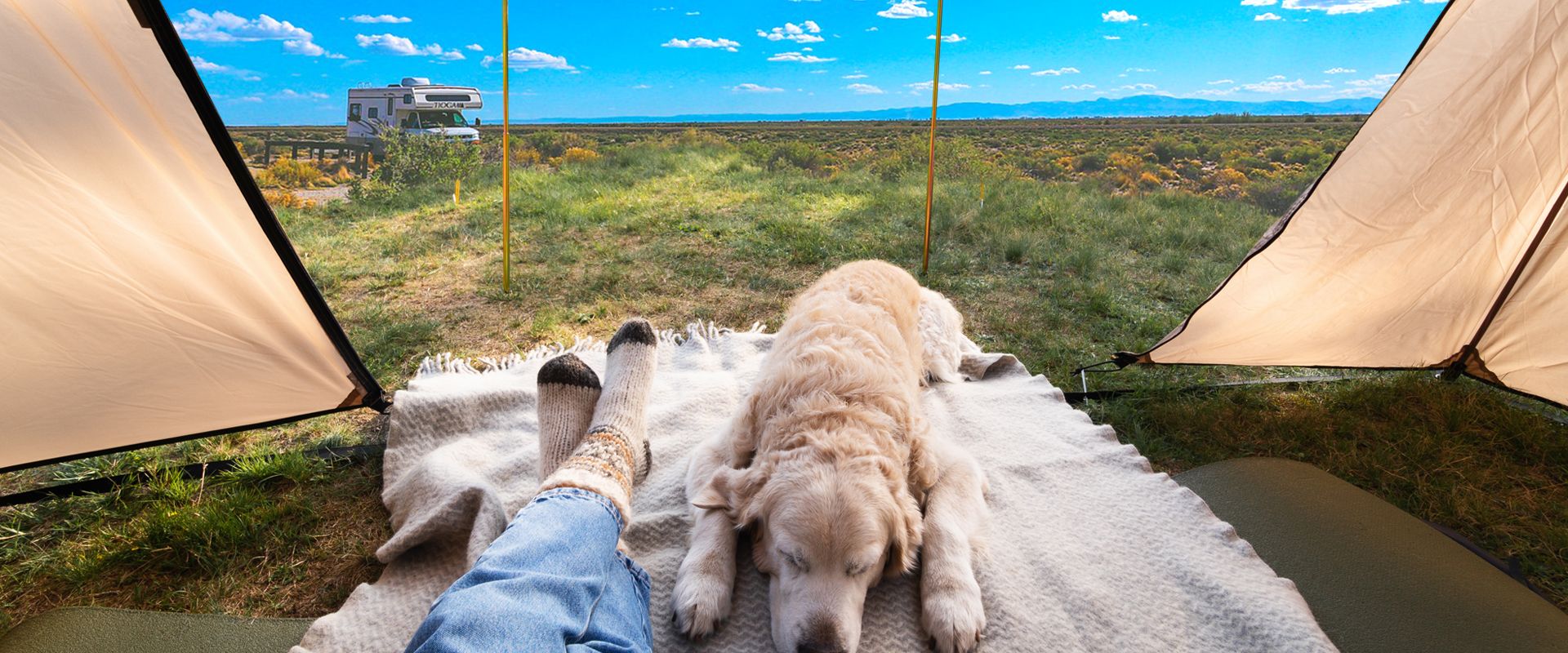 How NOT to Lose Your Pet on a Camping Trip (8 Pro Tips) 1