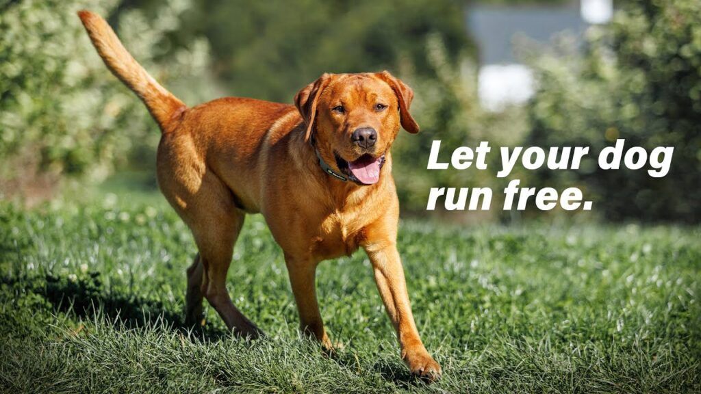 Choosing the Best RV Internet for You 5