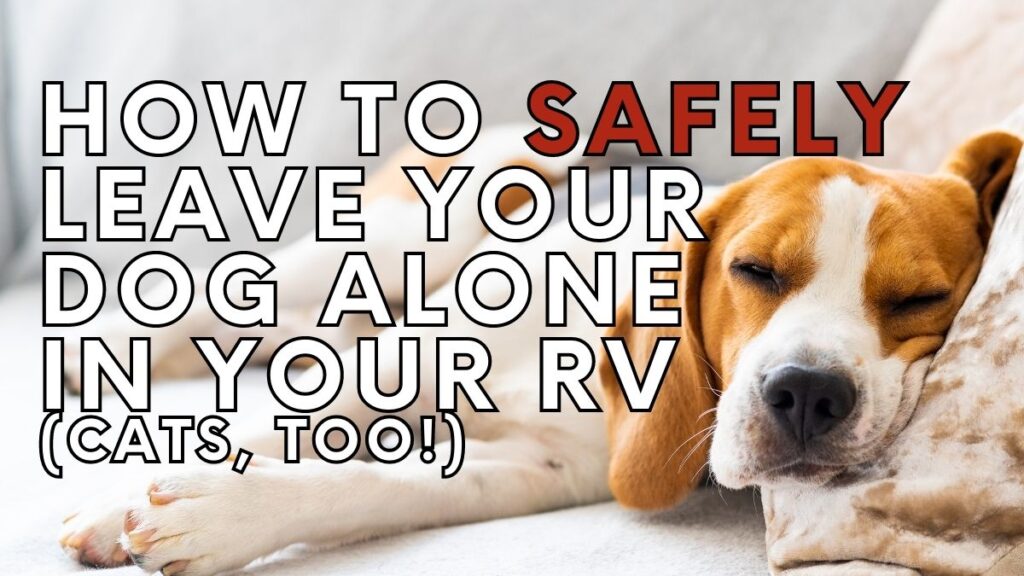 How to SAFELY Leave Your Dog Alone in Your RV (Cats, too!)