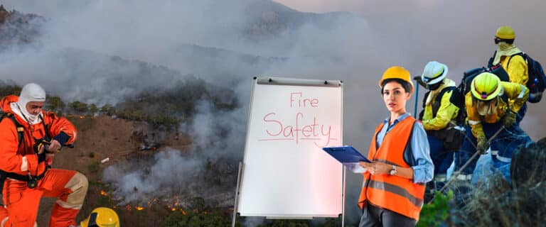 From S’mores to Scorching Flames: How Careless Campfires Spark Wildfires!