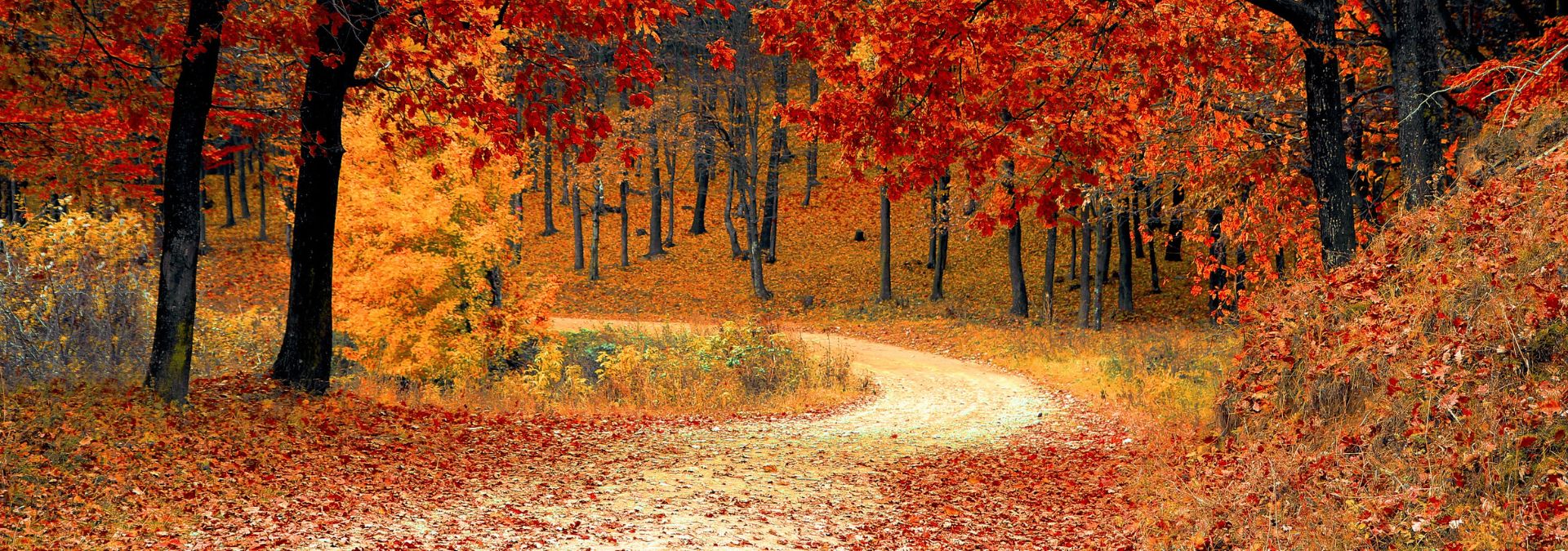 Where Are YOU RVing This Fall? Real RVers Answer