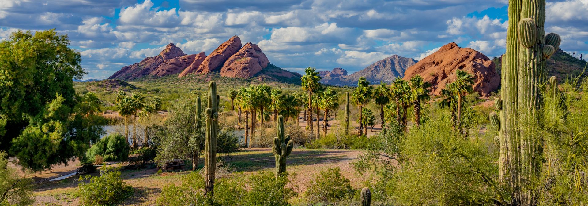 The Best 55 Plus RV Parks in Phoenix AZ (2024)