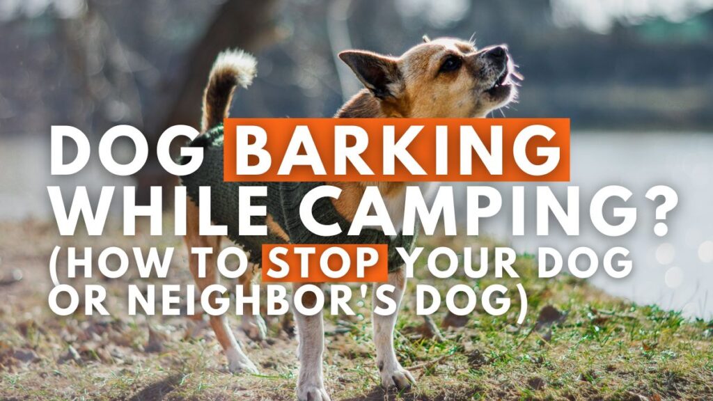 Dog Barking While Camping? (How to Stop Your Dog or Neighbor's Dog)