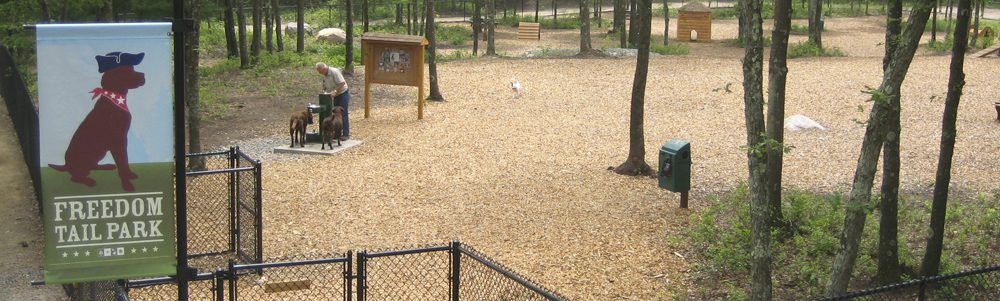 10 Best Dog-Friendly Campgrounds in the U.S. (2024) 3