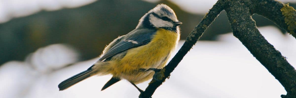 Master List of Travel Apps 8