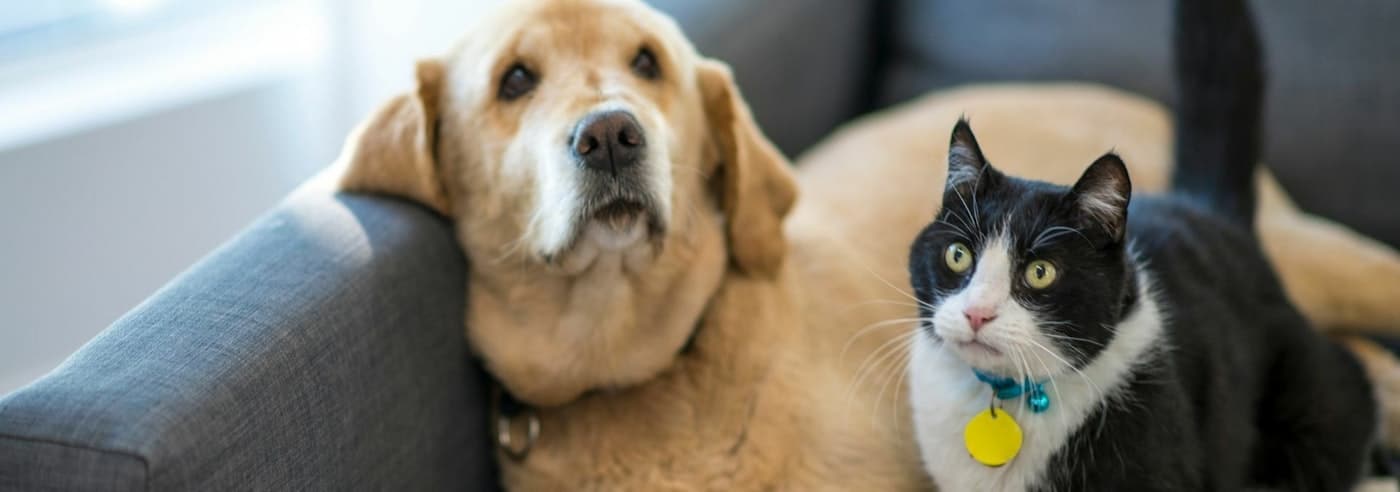 Master List of Travel Apps 12