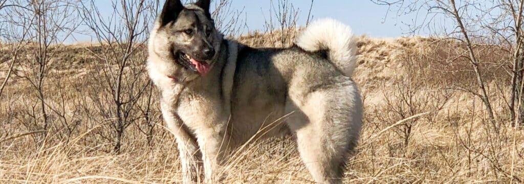 The Truth About Crime and RV Living: Separating Fear from Facts 5