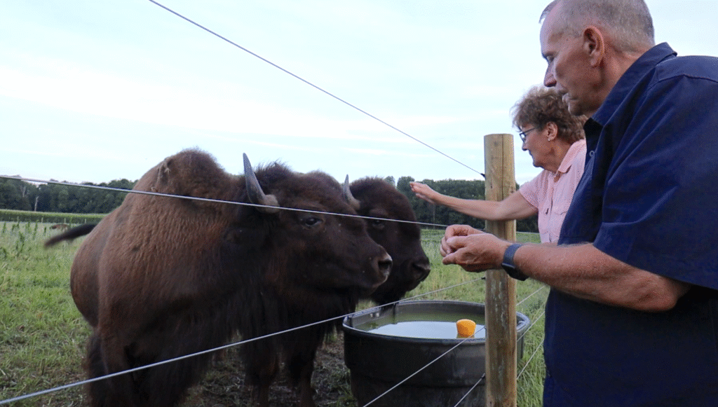 Boondocking with the Bison