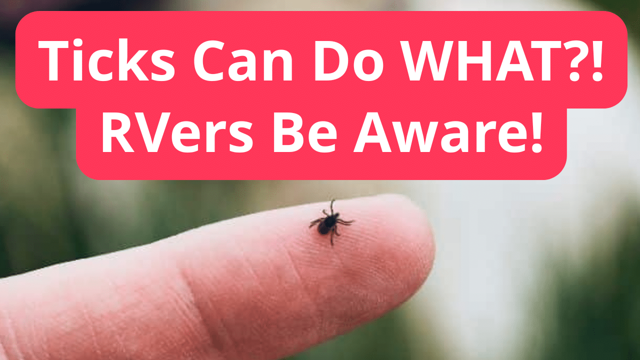 RVers Beware: The Hidden Tick Disease You’ve Never Heard Of 1