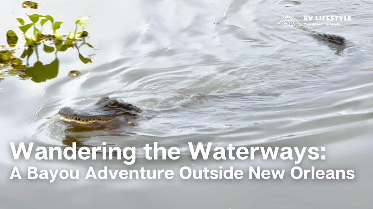Wandering the Waterways: A Bayou Adventure Outside New
Orleans