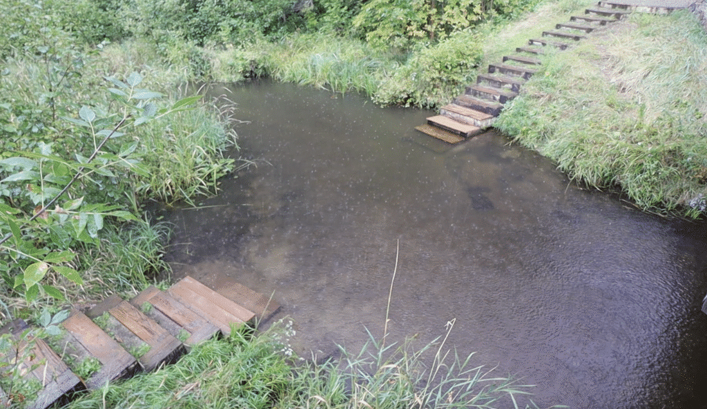 the great river road