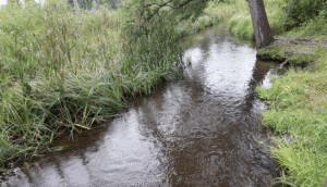 The Great River Road: An Inauspicious Start to An Epic RV Adventure