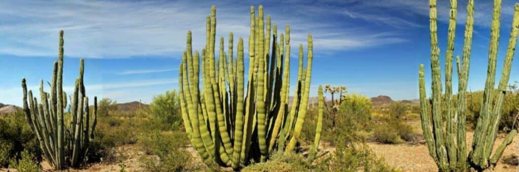 RV Travel in 2026: 9 Must-Go Destinations with the Best Winter to Spring Weather 2